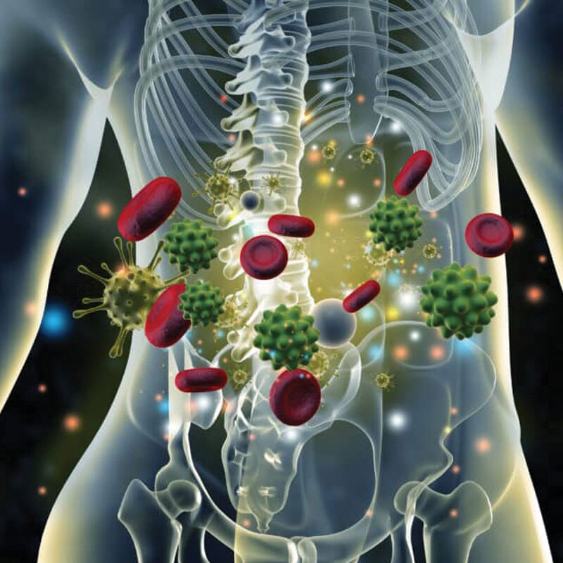 graphic depicting autoimmune disease