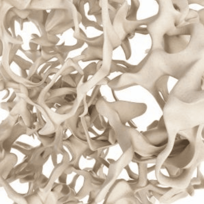 osteoporosis - Reversing Osteoporosis