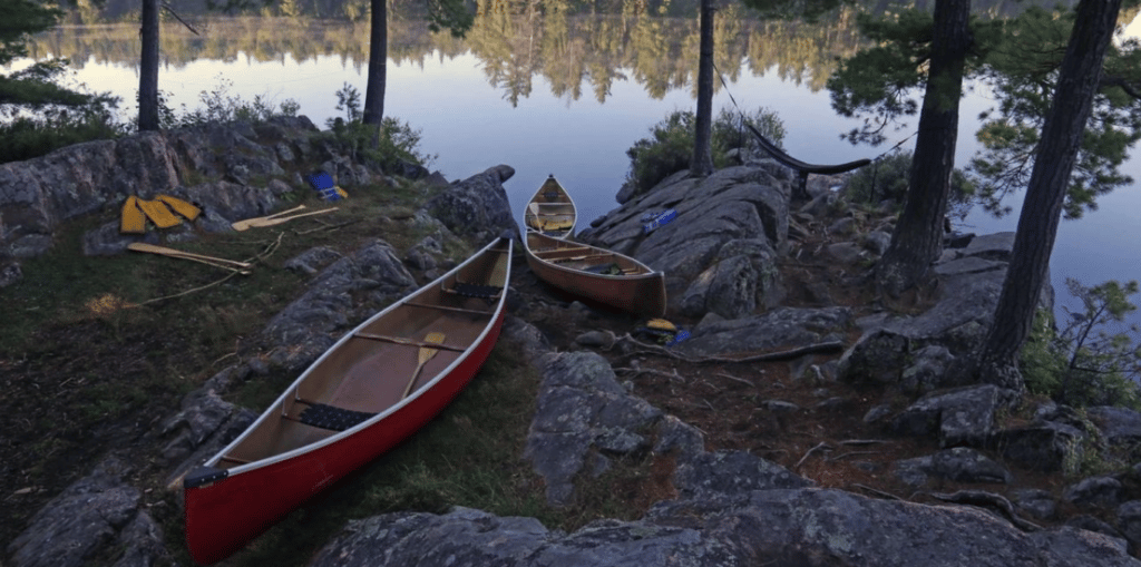 Learn to Thrive as a Highly Sensitive Person