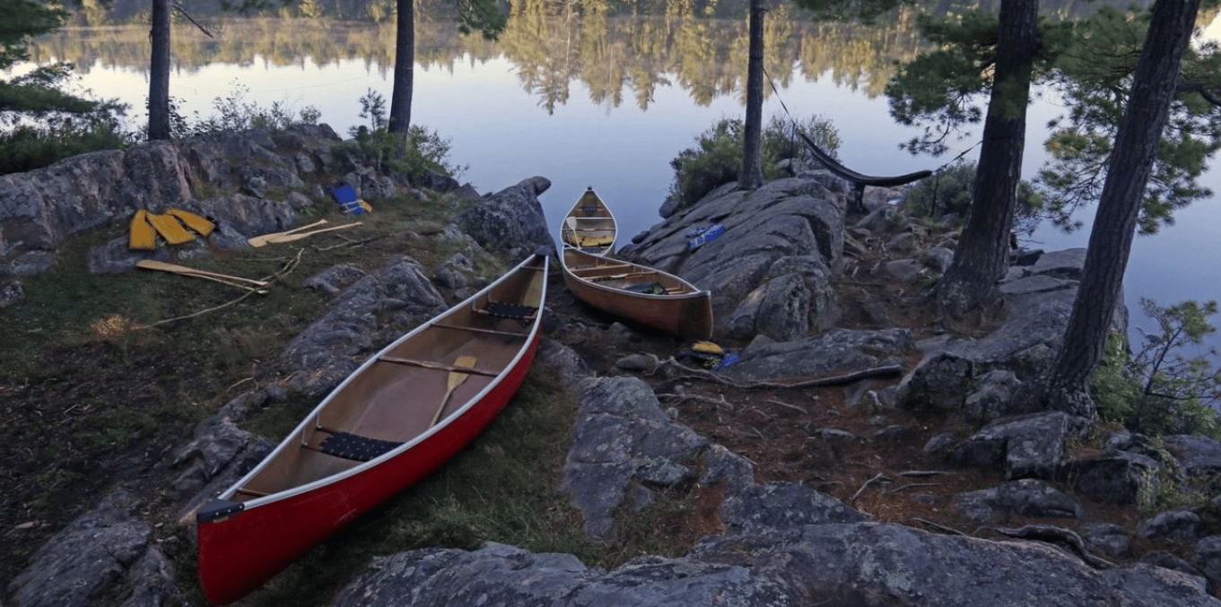 Learn to Thrive as a Highly Sensitive Person