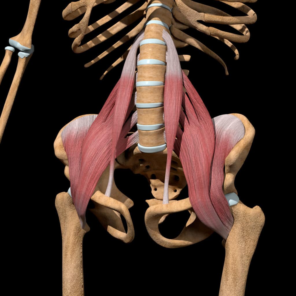 illustration of hip flexor tendinopathy