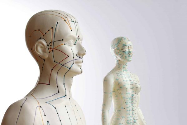 Two acupuncture models - male and female