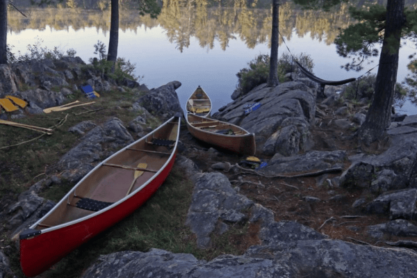 Learn to Thrive as a Highly Sensitive Person