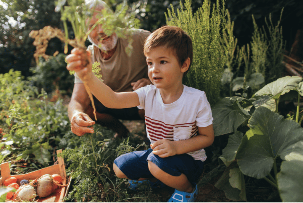 grow your own food 1 - Healthy Eating on a Budget