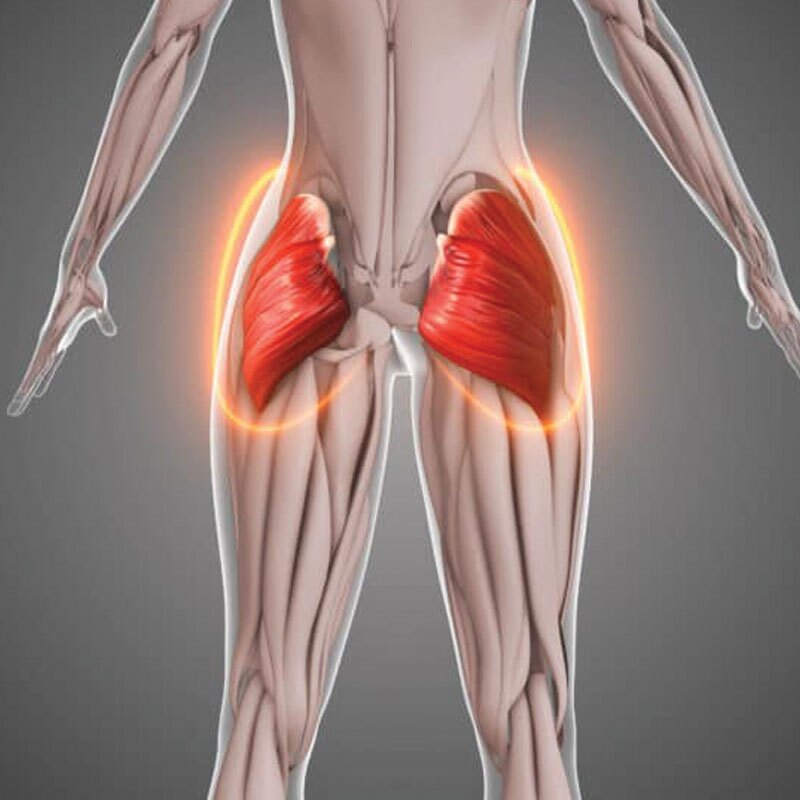 anatomy of a glute strain