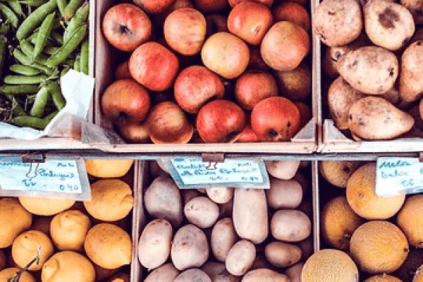 healthy eating on a budget