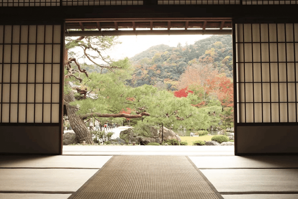 okinawa the secret to longevity