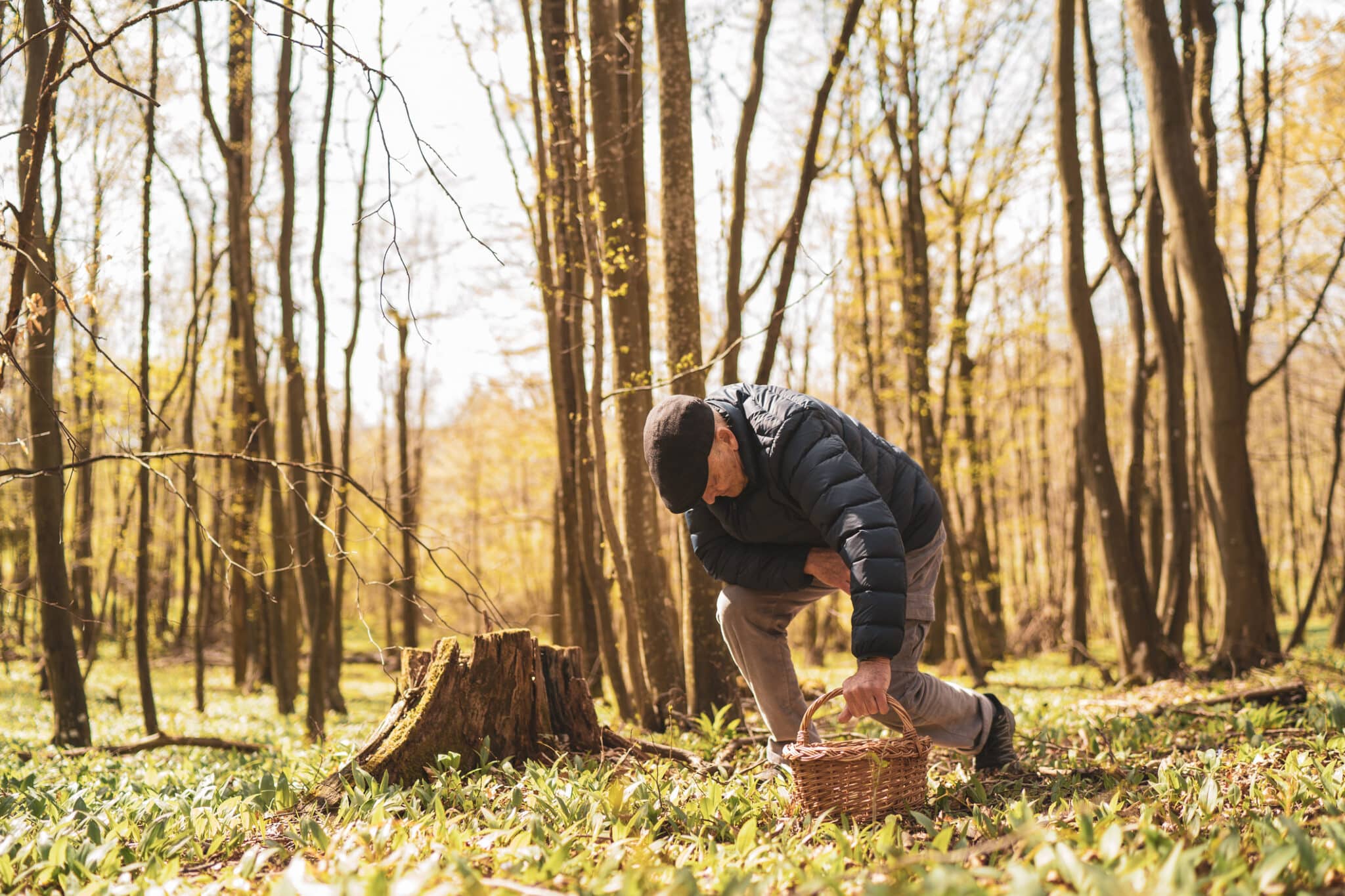 What Triggers Hip Osteoarthritis?