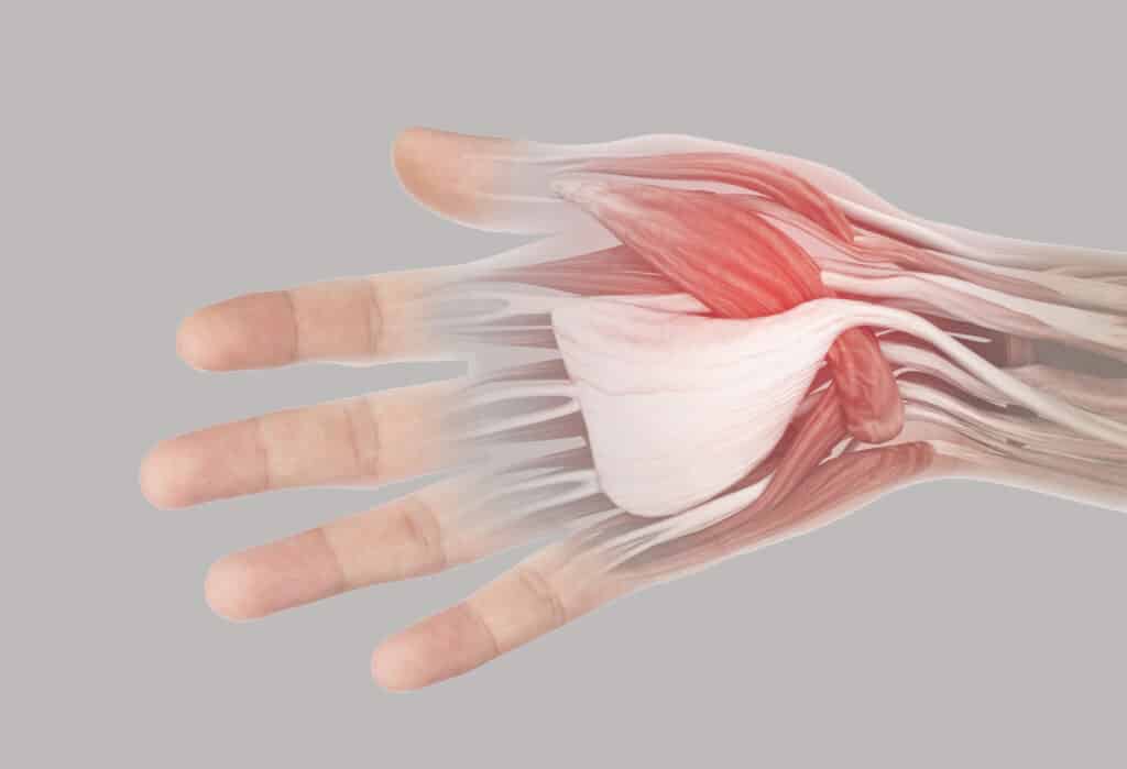 Thumb Strain Anatomy