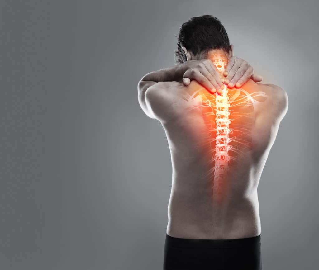 Upper Back Pain Anatomy