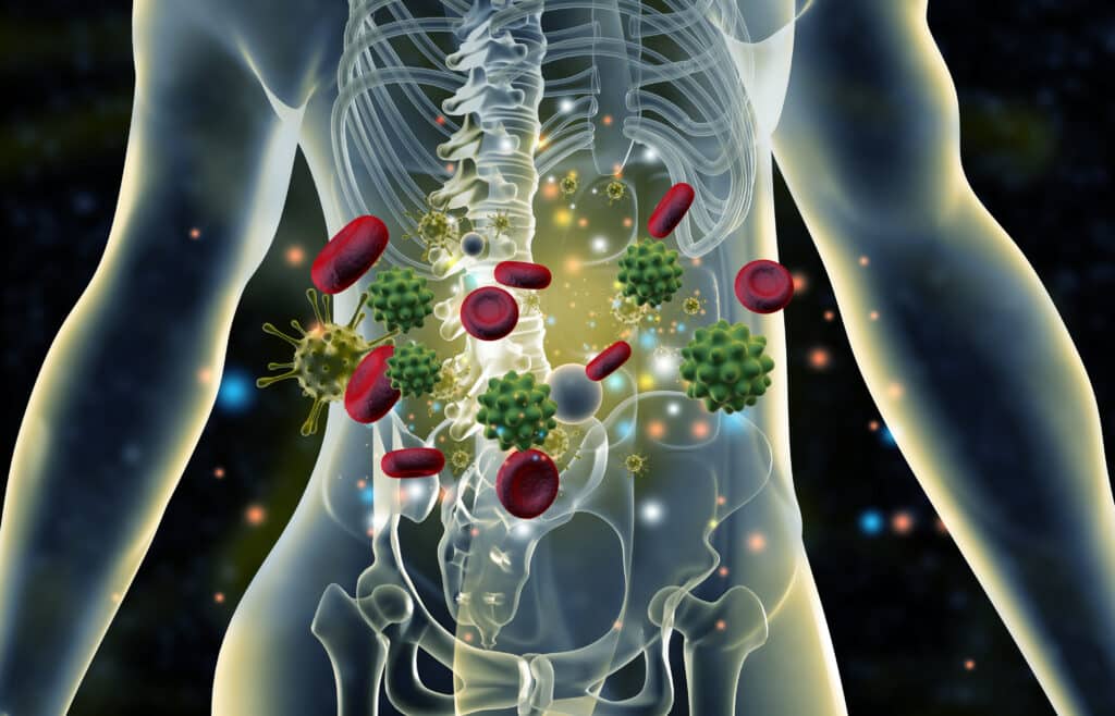 Autoimmune Disease Anatomy