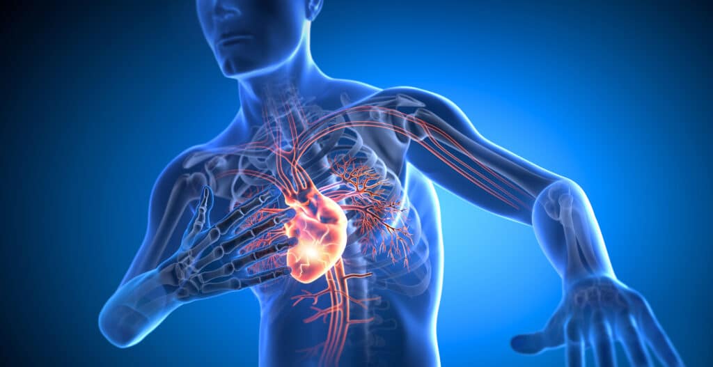 Chest Pain Anatomy