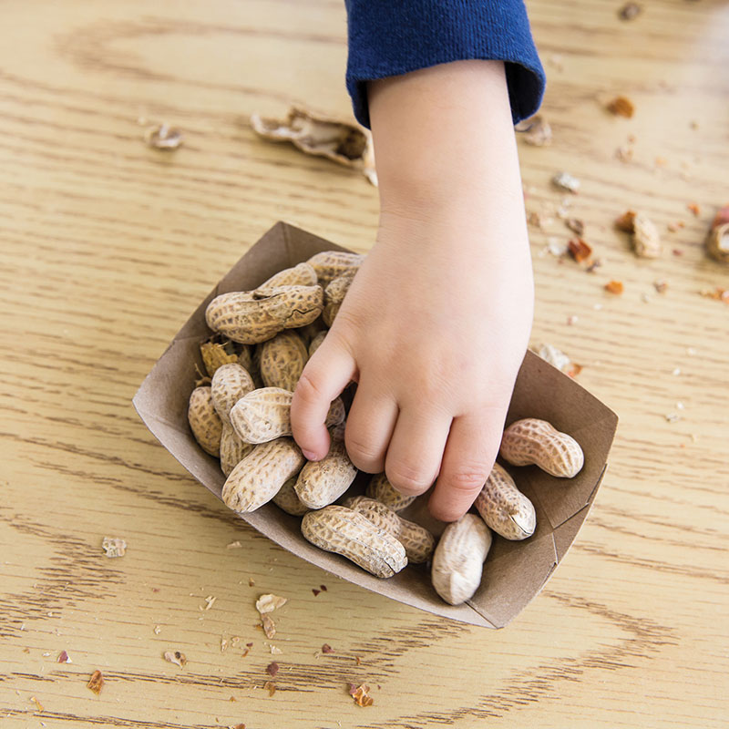 allergic reaction to peanuts