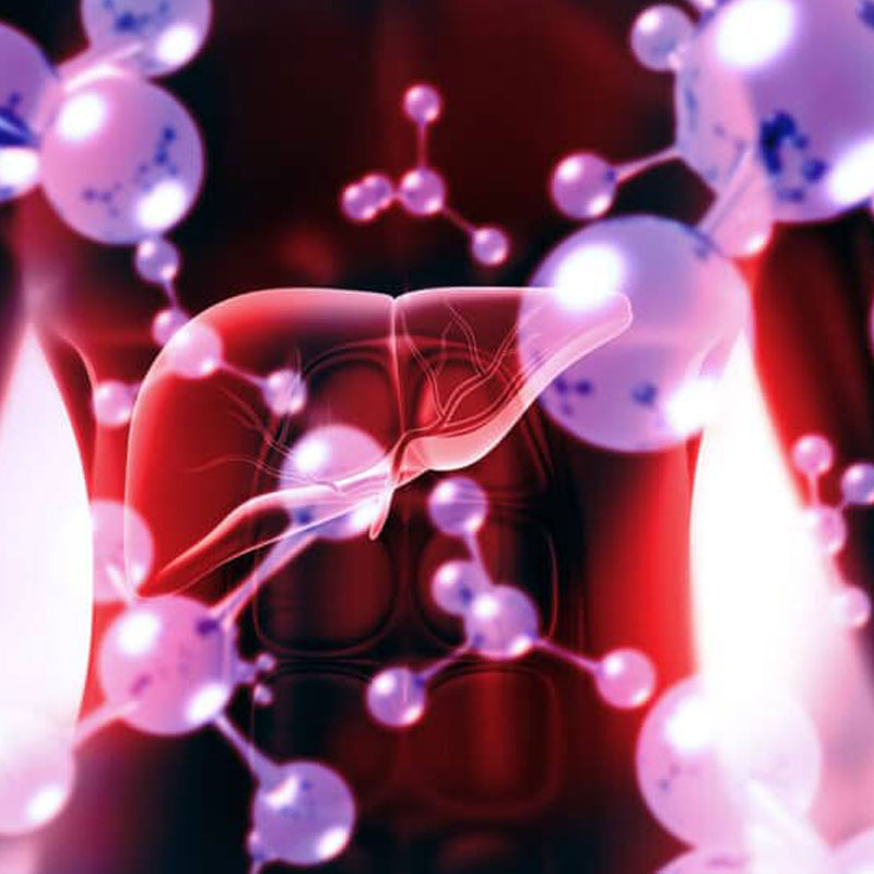graphic depicting metabolic disease