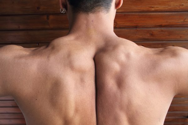 back muscles