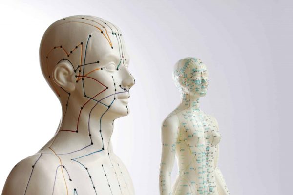 Two acupuncture models - male and female